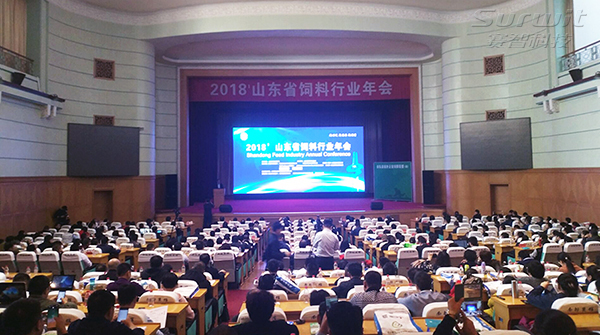 会议.jpg